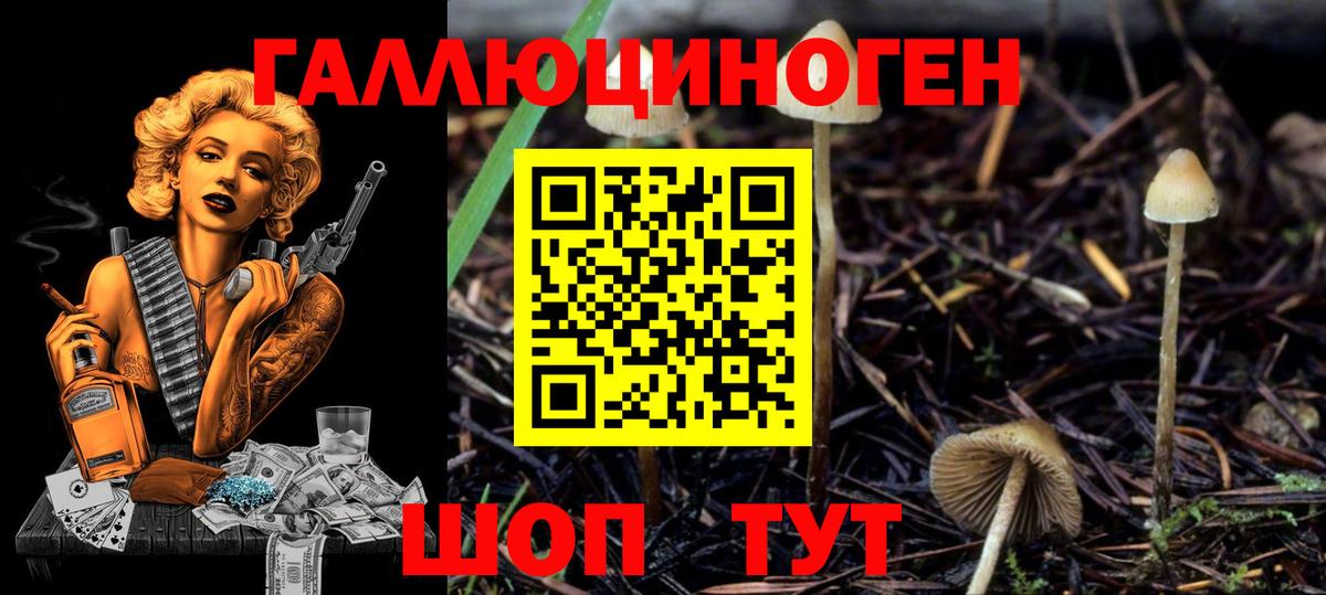 Псилоцибиновые грибы Cubensis  Вход с VPN  Архангельск 