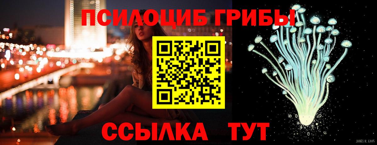 Галлюциногенные грибы мицелий Архангельск